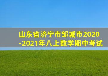 山东省济宁市邹城市2020 -2021年八上数学期中考试